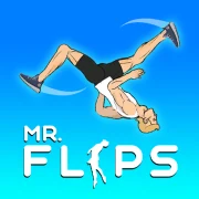 Mr Flip artwork