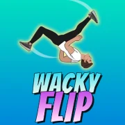 Wacky Flip artwork
